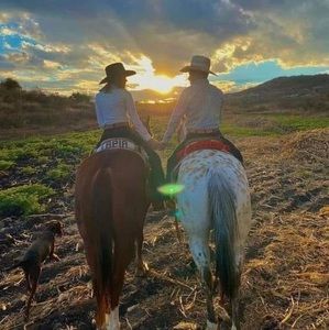 Meet your Posher, Maycon